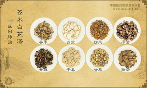 苍术白芷汤