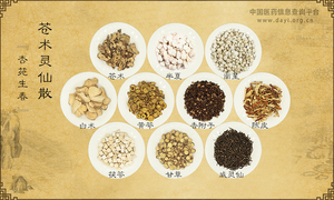 苍术灵仙散