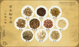 苍术附子汤