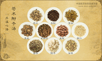 苍术附子汤