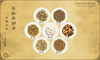 苍防柴胡汤