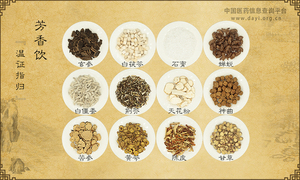芳香饮《温证指归》