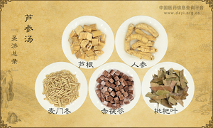 芦参汤