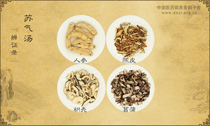 苏气汤《辨证录》卷五