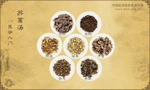 苏葛汤《医学入门》