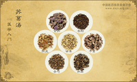 苏葛汤《医学入门》