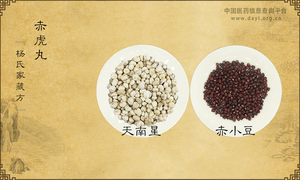 赤虎丸《杨氏家藏方》