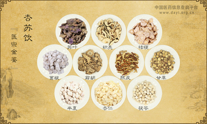 杏苏饮《医宗金鉴》