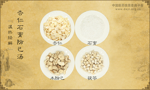 杏仁石膏防己汤《温热经解》