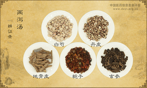 两泻汤