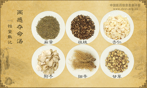 两感夺命汤