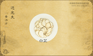 还光丸