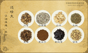 还睛丸《证治准绳·类方》卷七