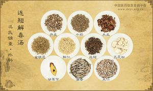 连翘解毒汤