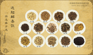 连翘解毒饮《续名家方选》
