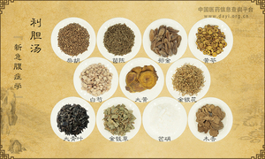 利胆汤《新急腹症学》