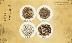 何首乌煎丸《圣济总录》卷一八六