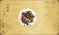 皂刺散《仙拈集》
