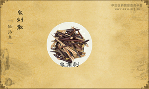 皂刺散《仙拈集》