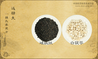 返精丸