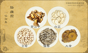 肠痈煎《仙拈集》