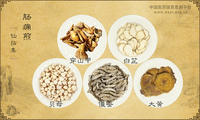 肠痈煎《仙拈集》