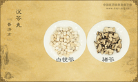 沉苓丸《普济方》