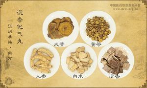 沉香化气丸《证治准绳·类方》