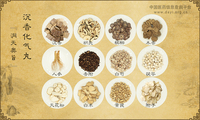 沉香化气丸《洞天奥旨》