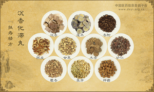沉香化滞丸《扶寿精方》