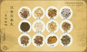 沉香交泰丸