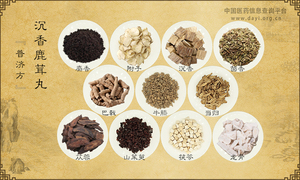 沉香鹿茸丸《普济方》