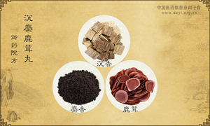 沉麝鹿茸丸《御药院方》