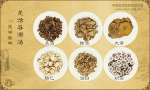 羌活导滞汤《医学发明》