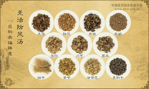 羌活防风汤《痘科类编释意》