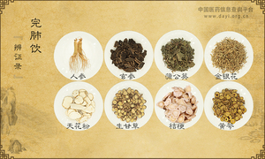 完肺饮