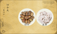 诃子丸《普济方》卷三十三