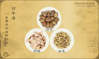 诃子汤《皇帝素问宜明论方》