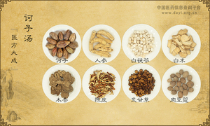 诃子汤《医方大成》