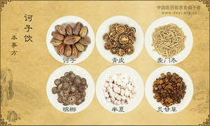 诃子饮《本事方》
