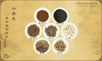 补养丸《瑞竹堂经验方》