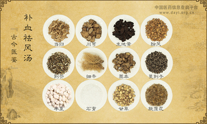 补血祛风汤《古今医鉴》