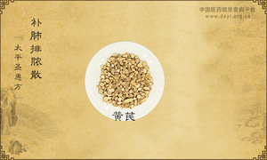 补肺排脓散