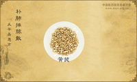 补肺排脓散