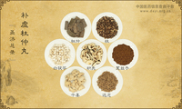 补虚杜仲丸《圣济总录》