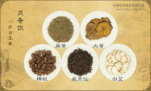 灵奇饮