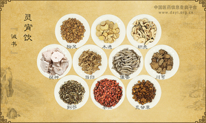 灵宵饮