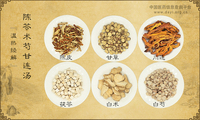 陈苓术芍甘连汤