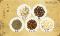 附子饮《圣济总录》