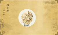 附子散《医方考》